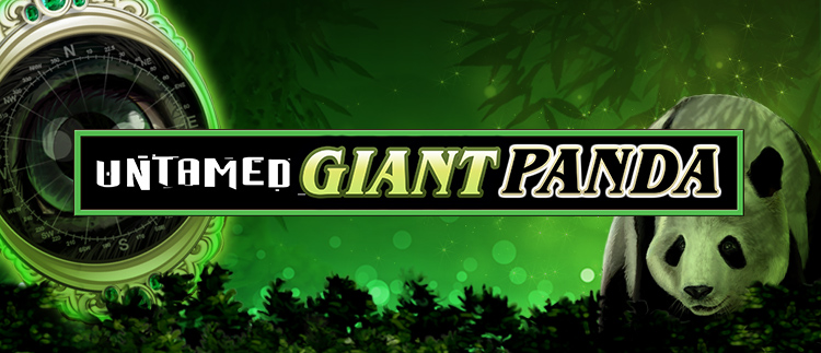 Untamed Giant Panda