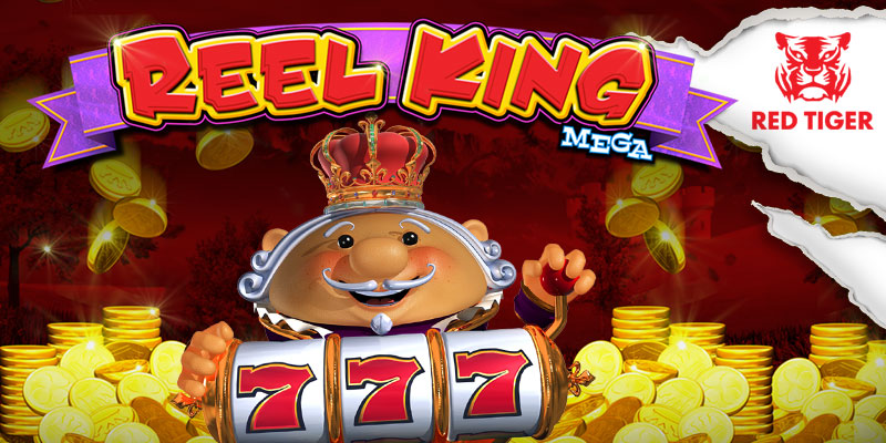 All Slots Reel King