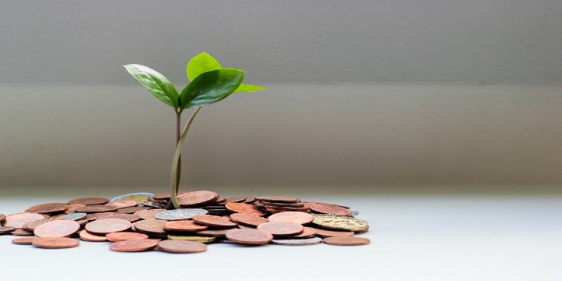 A plant growing from a pile of coins. A plant growing from a pile of coins.