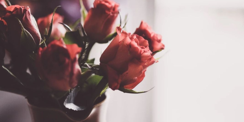 Anniversary roses; Spin Palace Blog