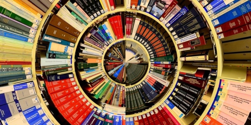 Des centaines de livres sur les jeux de casino en ligne sur votre téléphone Photo de Gerd Altmann sur Pixabay; Spin Palace Blog