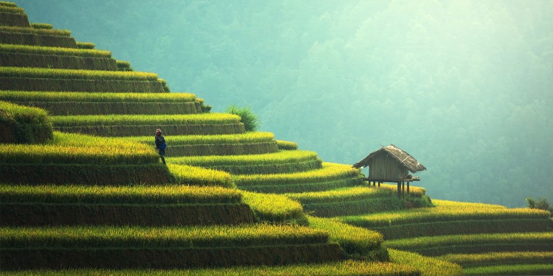 Thailand Thailand