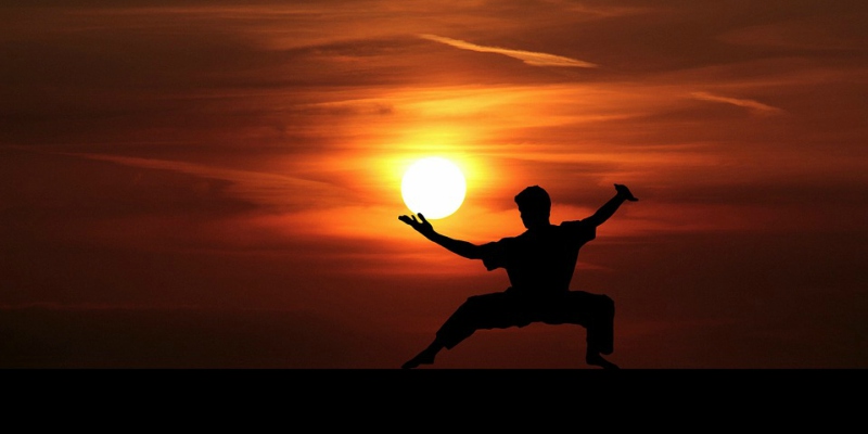 martial arts silhouette sunset martial arts silhouette sunset