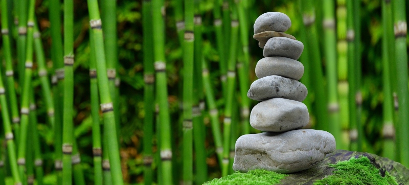 zen zen