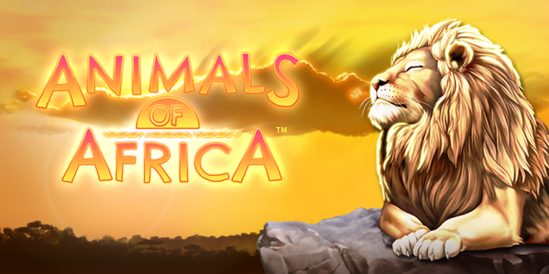 Animals of Africa Online Slot Logo